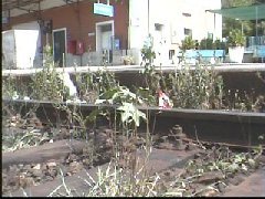 La stazione di Tropea