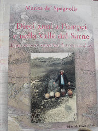 La copertina del libro 'Dieci anni a Pompei e nella Valle del Sarno. Esperienze ed emozioni di un'archeologa' di Marisa de' Spagnolis